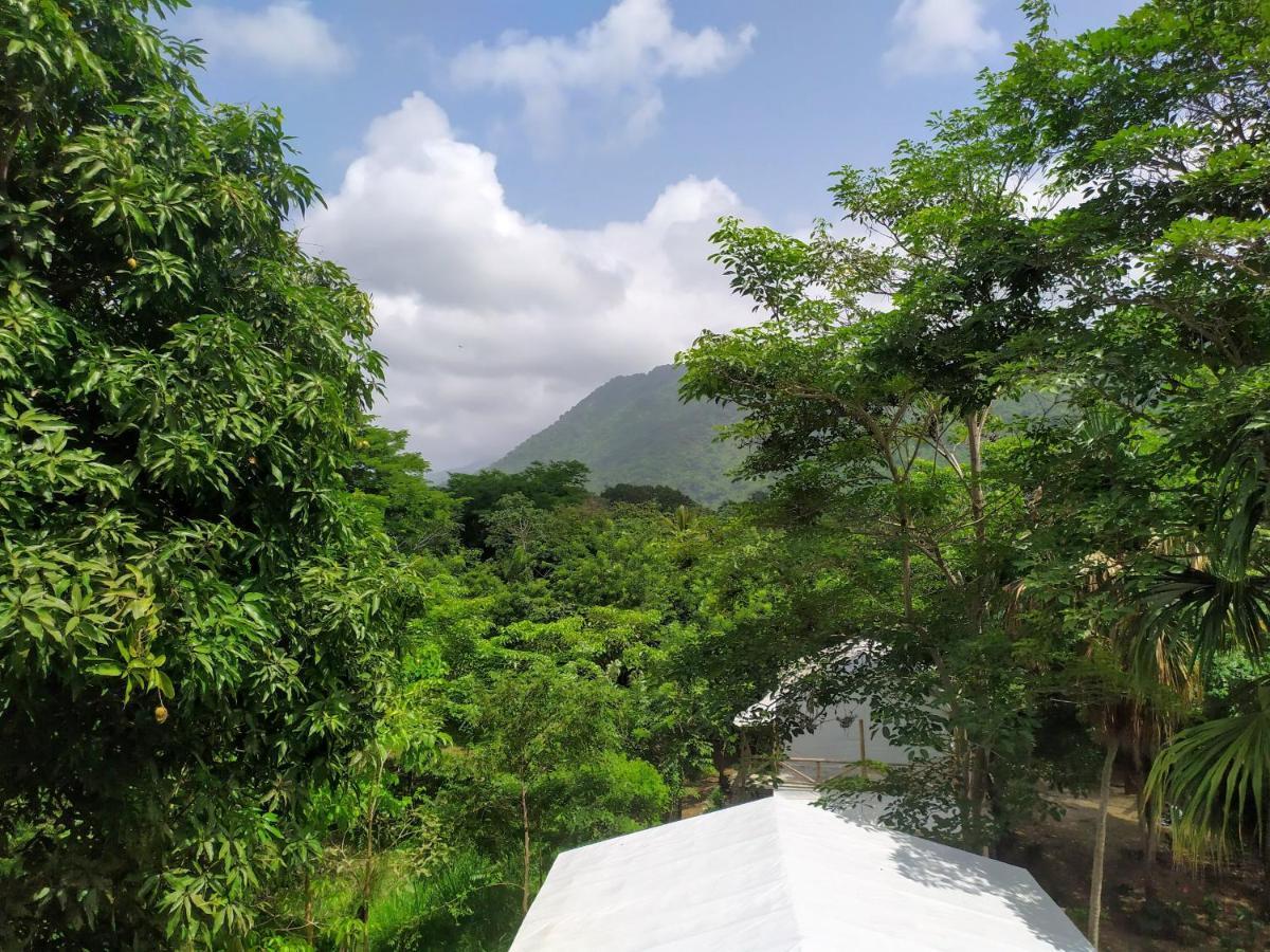 Serrano Tayrona Lodge El Zaino Eksteriør bilde