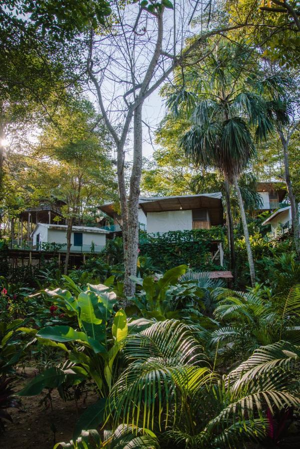 Serrano Tayrona Lodge El Zaino Eksteriør bilde