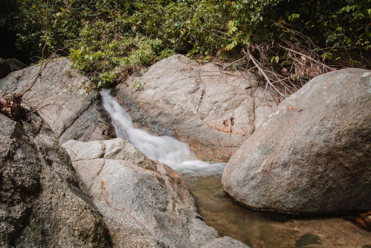 Serrano Tayrona Lodge El Zaino Eksteriør bilde