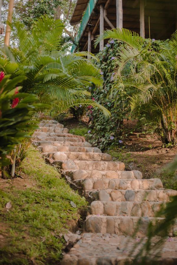 Serrano Tayrona Lodge El Zaino Eksteriør bilde
