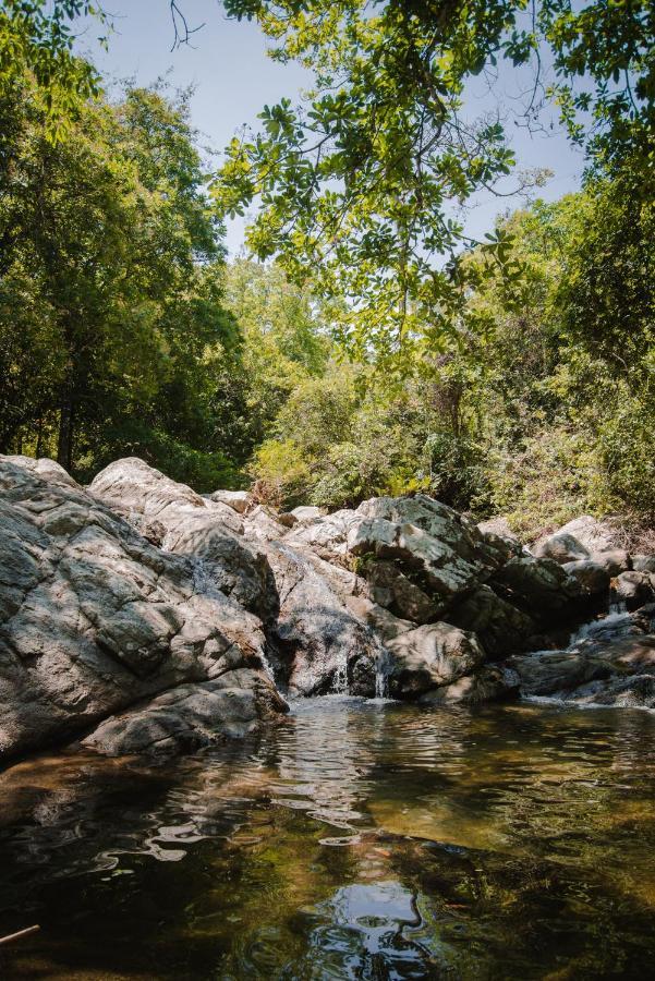 Serrano Tayrona Lodge El Zaino Eksteriør bilde