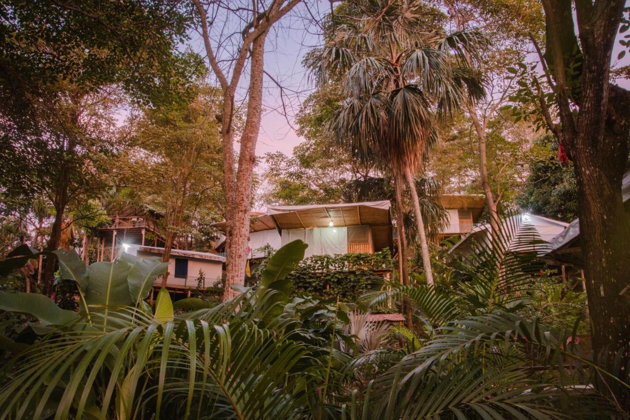 Serrano Tayrona Lodge El Zaino Eksteriør bilde